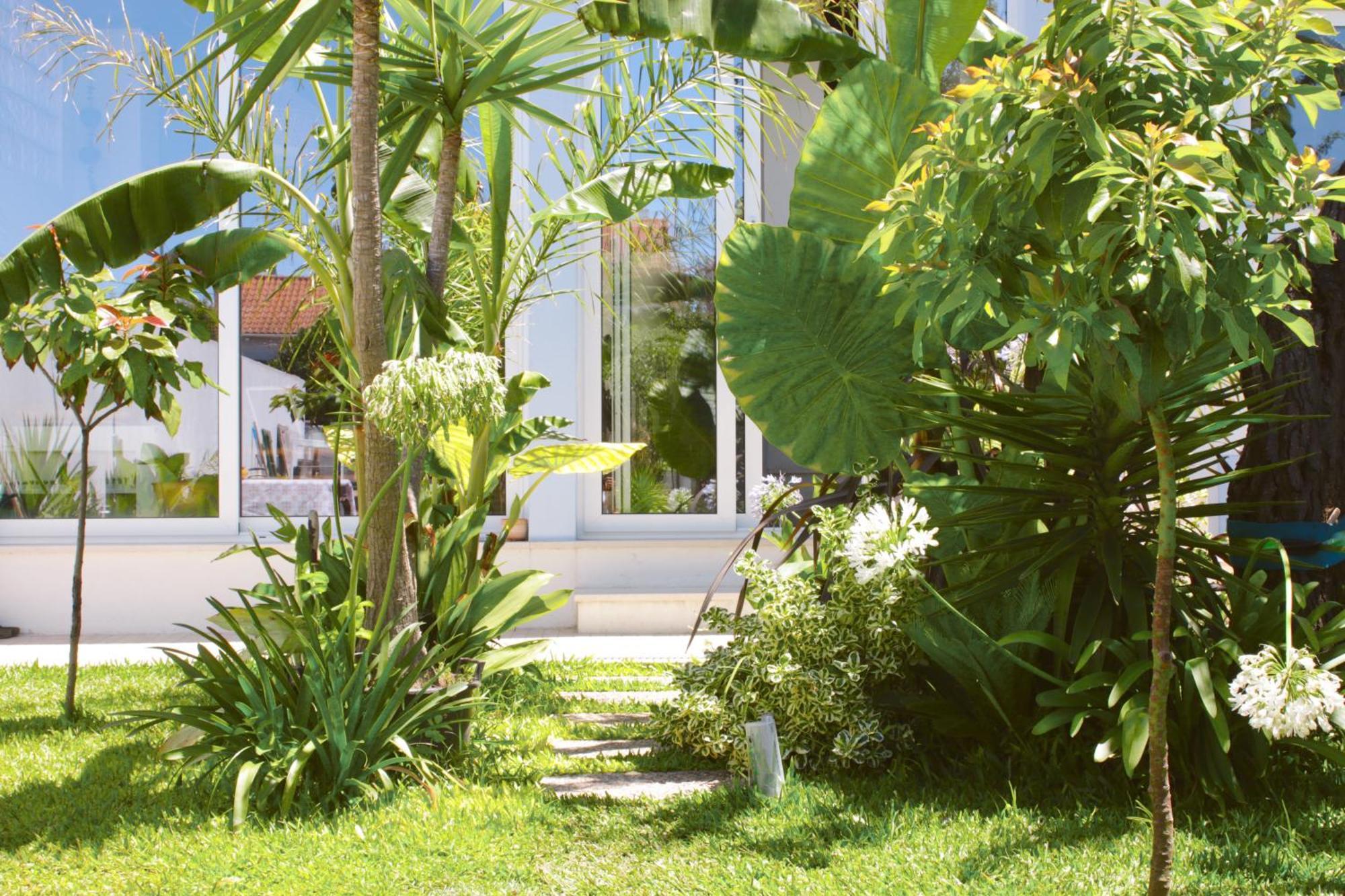 Vila Vale Guest House - Surf & Yoga Charneca  Eksteriør billede